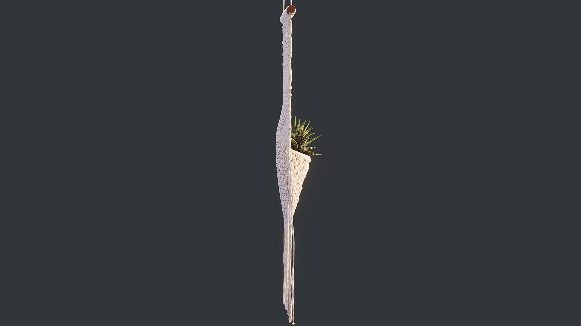 Macrame with Succulent Plant 3D model_5