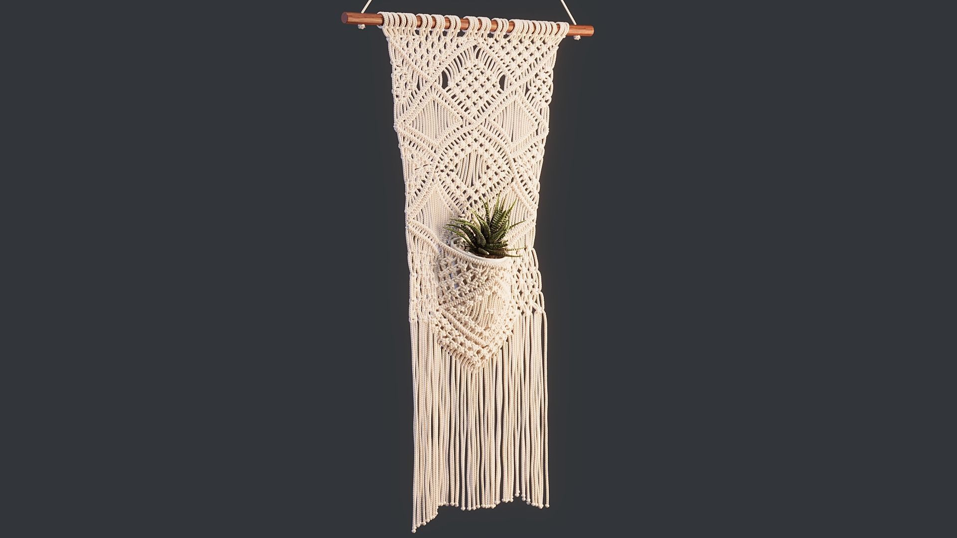 Macrame with Succulent Plant 3D model_3