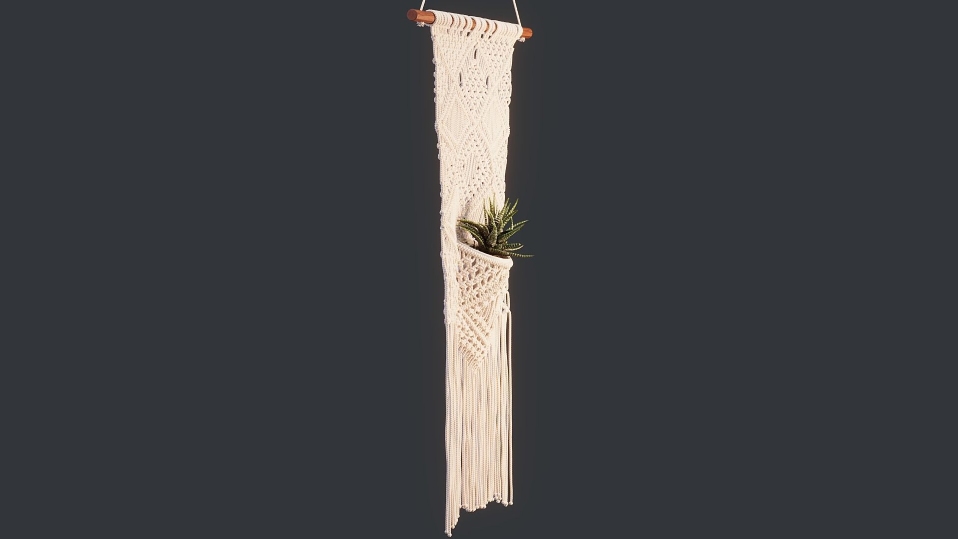 Macrame with Succulent Plant 3D model_4