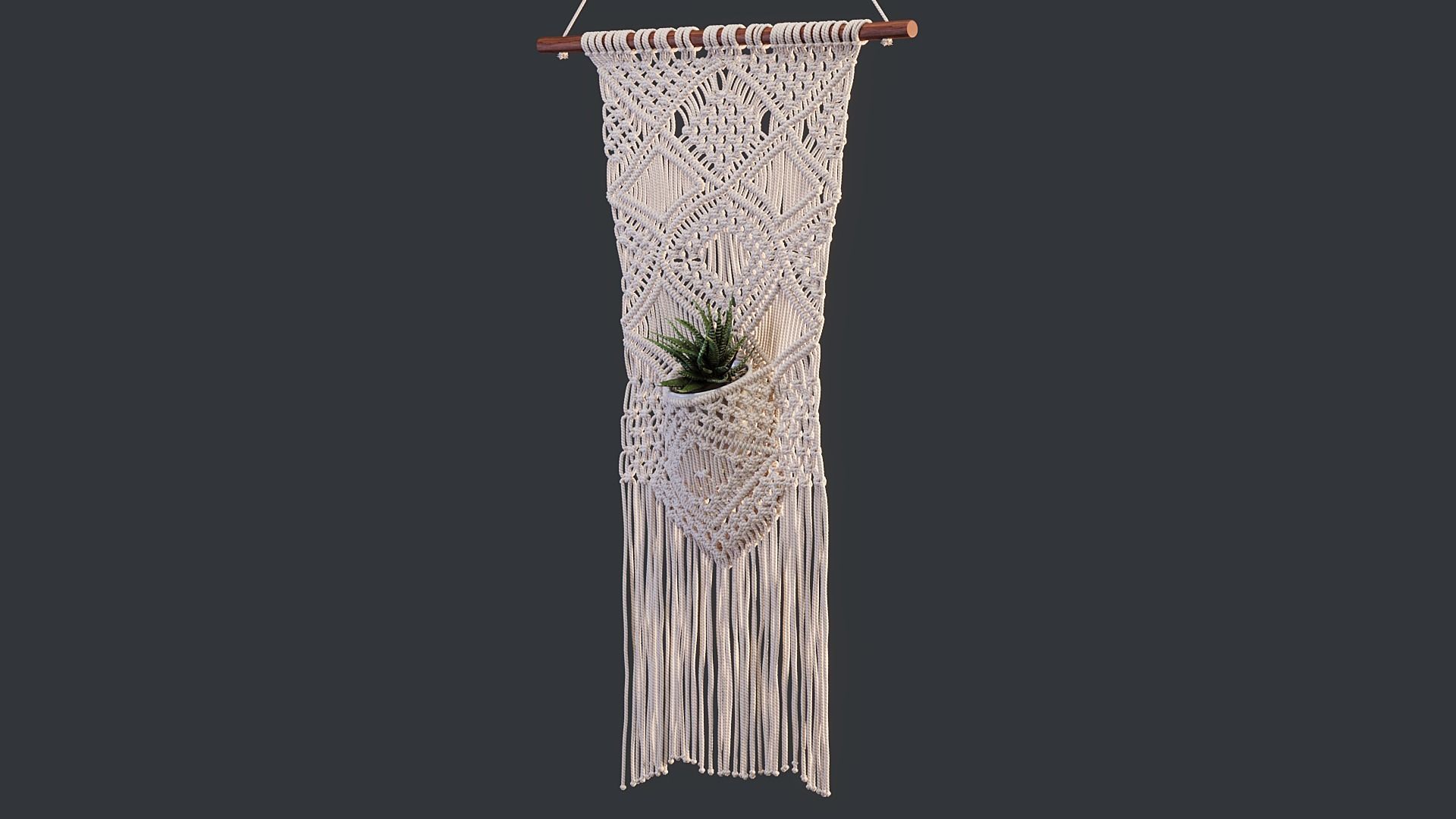 Macrame with Succulent Plant 3D model_10