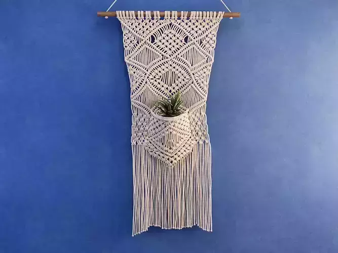 Macrame with Succulent Plant
