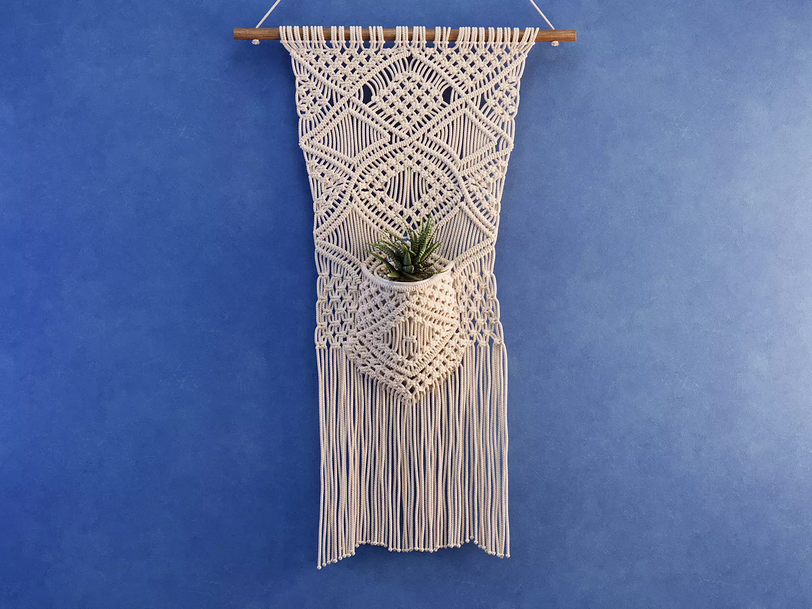 Macrame with Succulent Plant 3D model_0