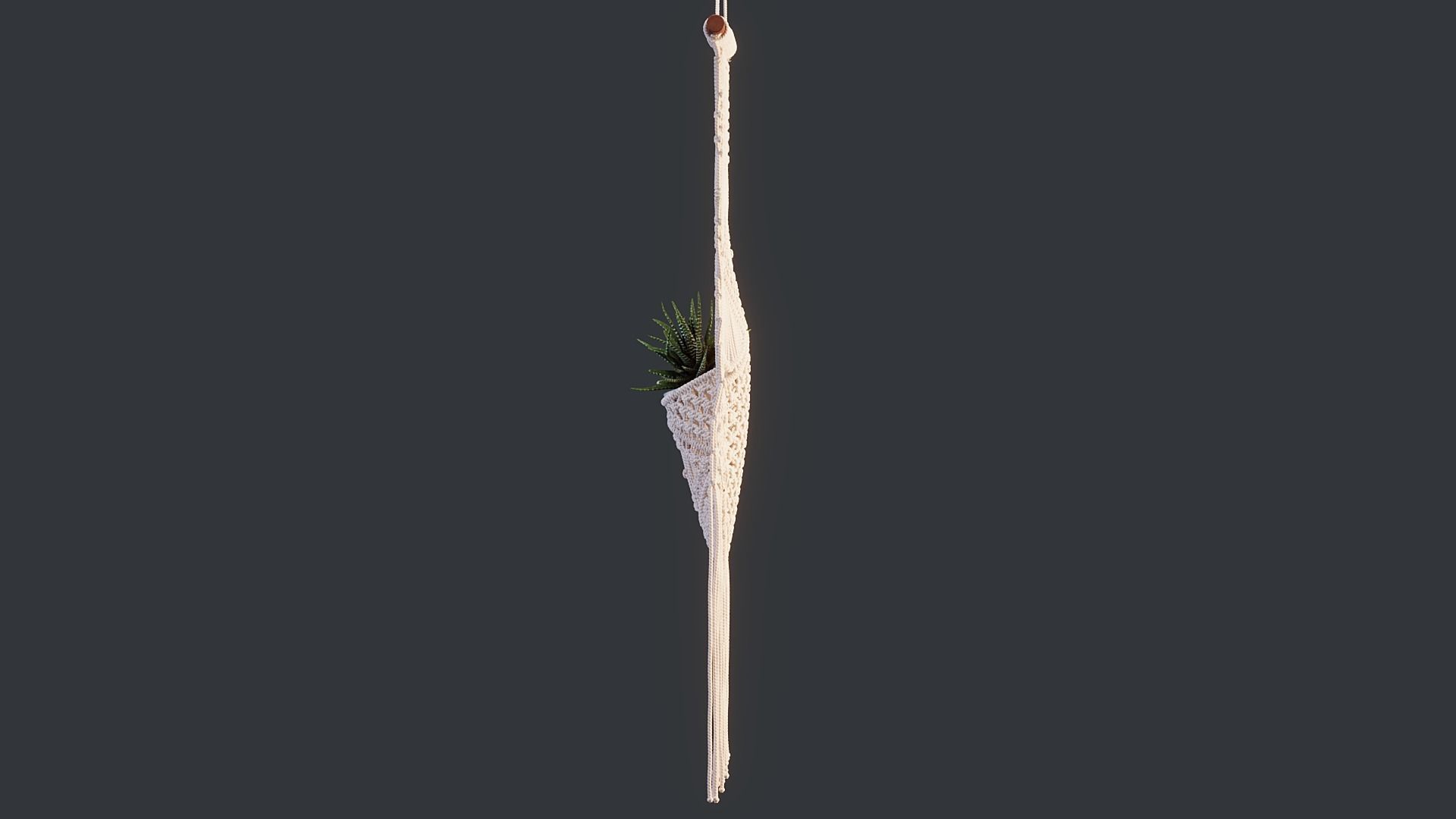 Macrame with Succulent Plant 3D model_9
