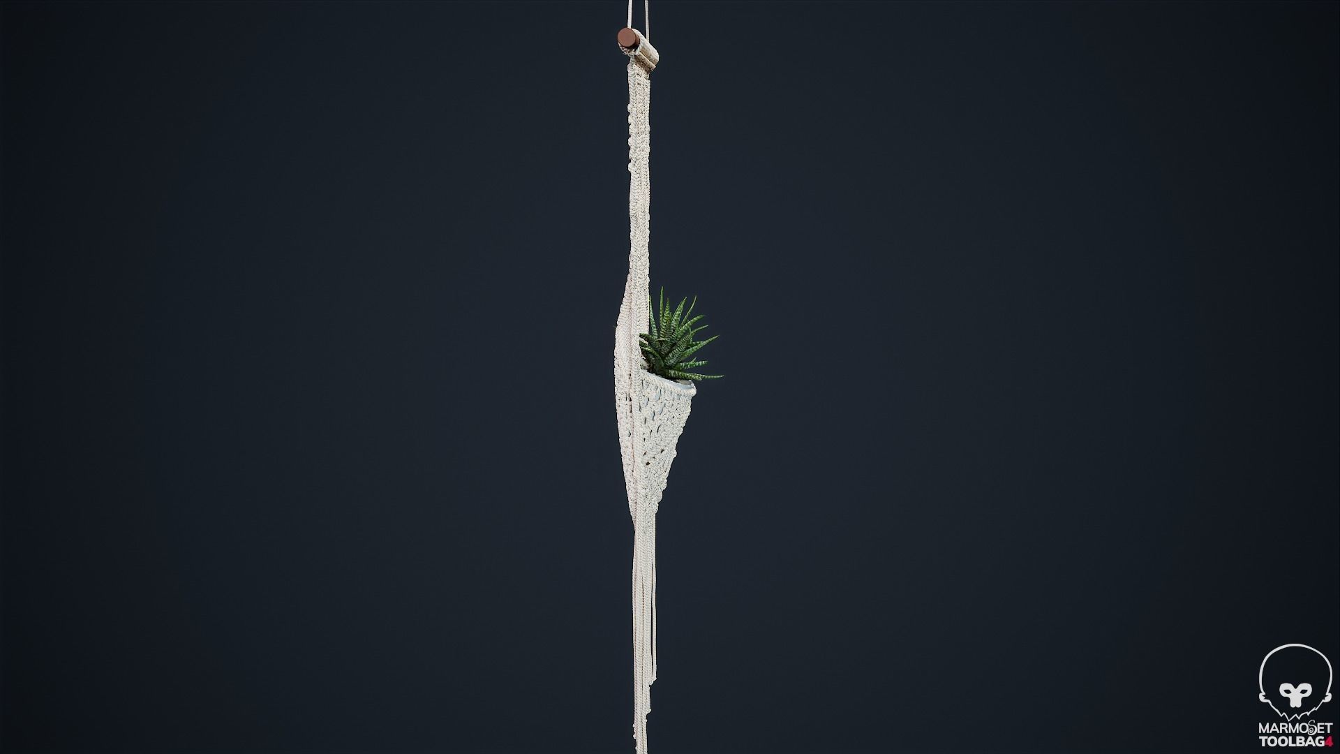 Macrame with Succulent Plant 3D model_20