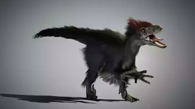 Raptor - Blender Low-poly 3D model