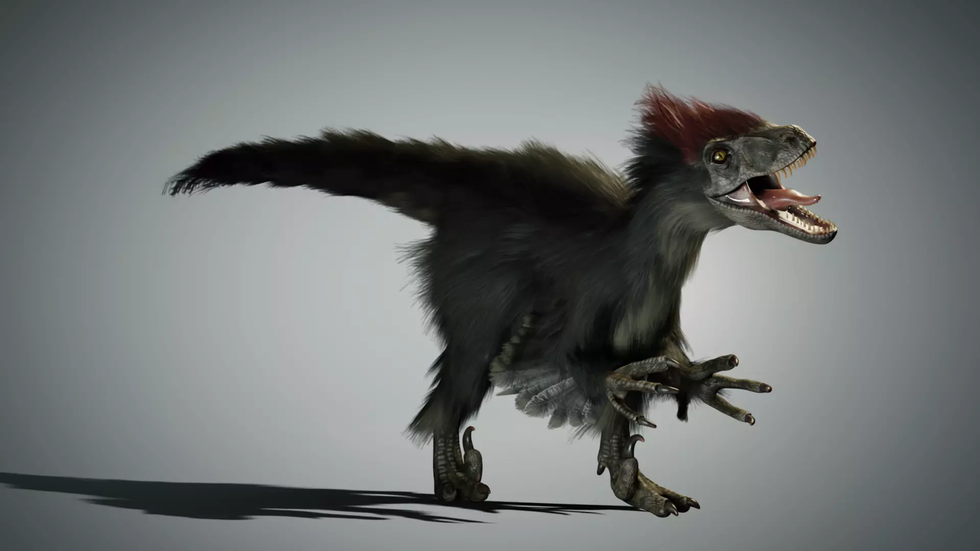 Raptor - Blender Low-poly 3D model_0