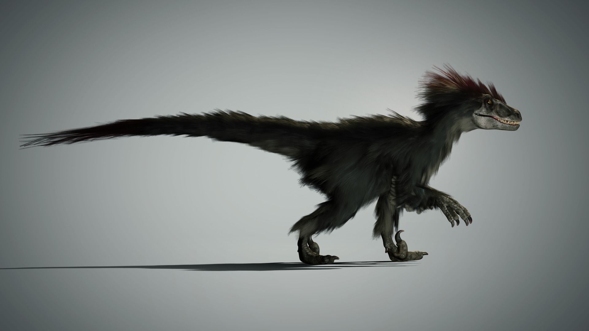 Raptor - Blender Low-poly 3D model_4