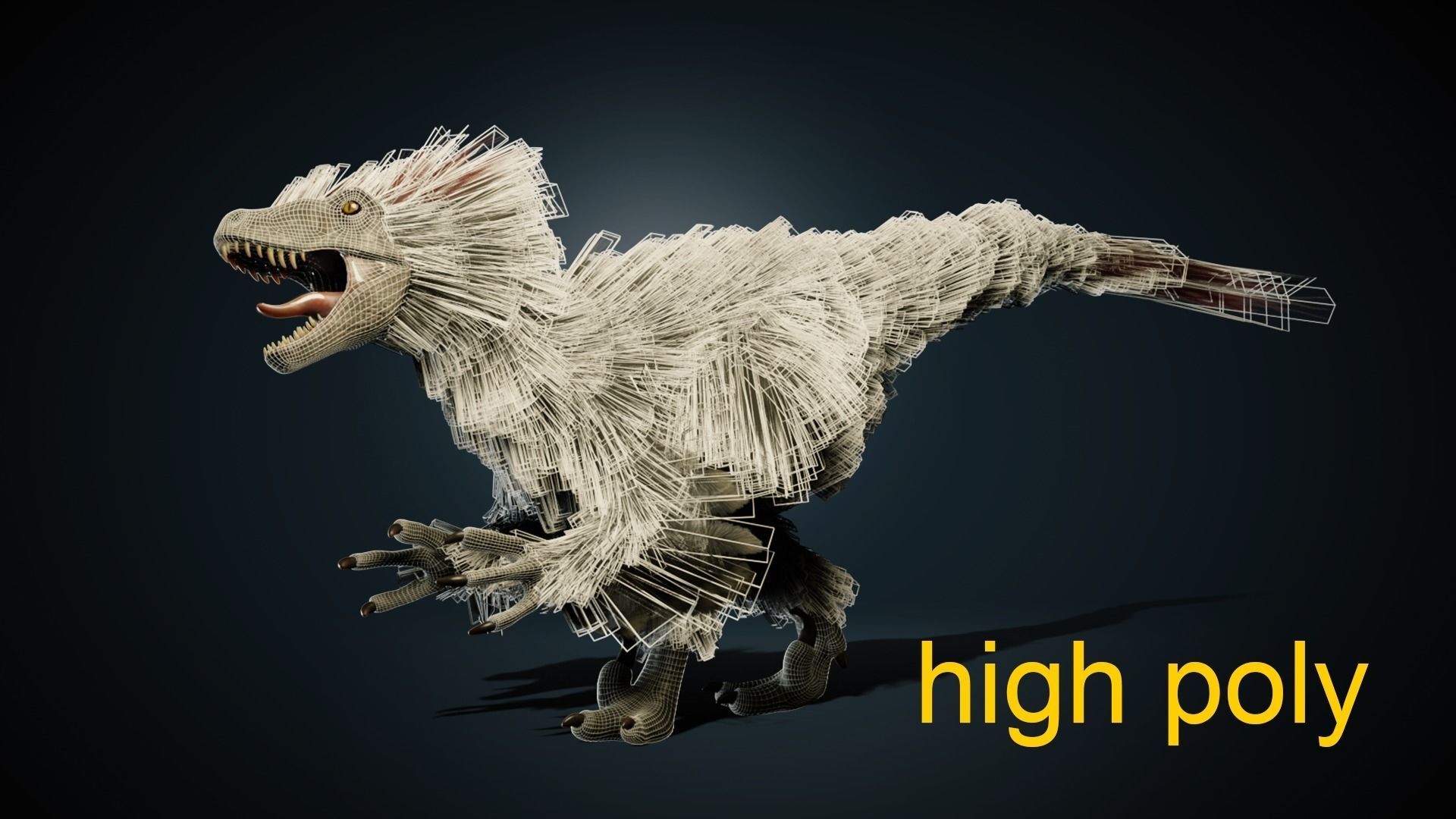 Raptor - Blender Low-poly 3D model_11