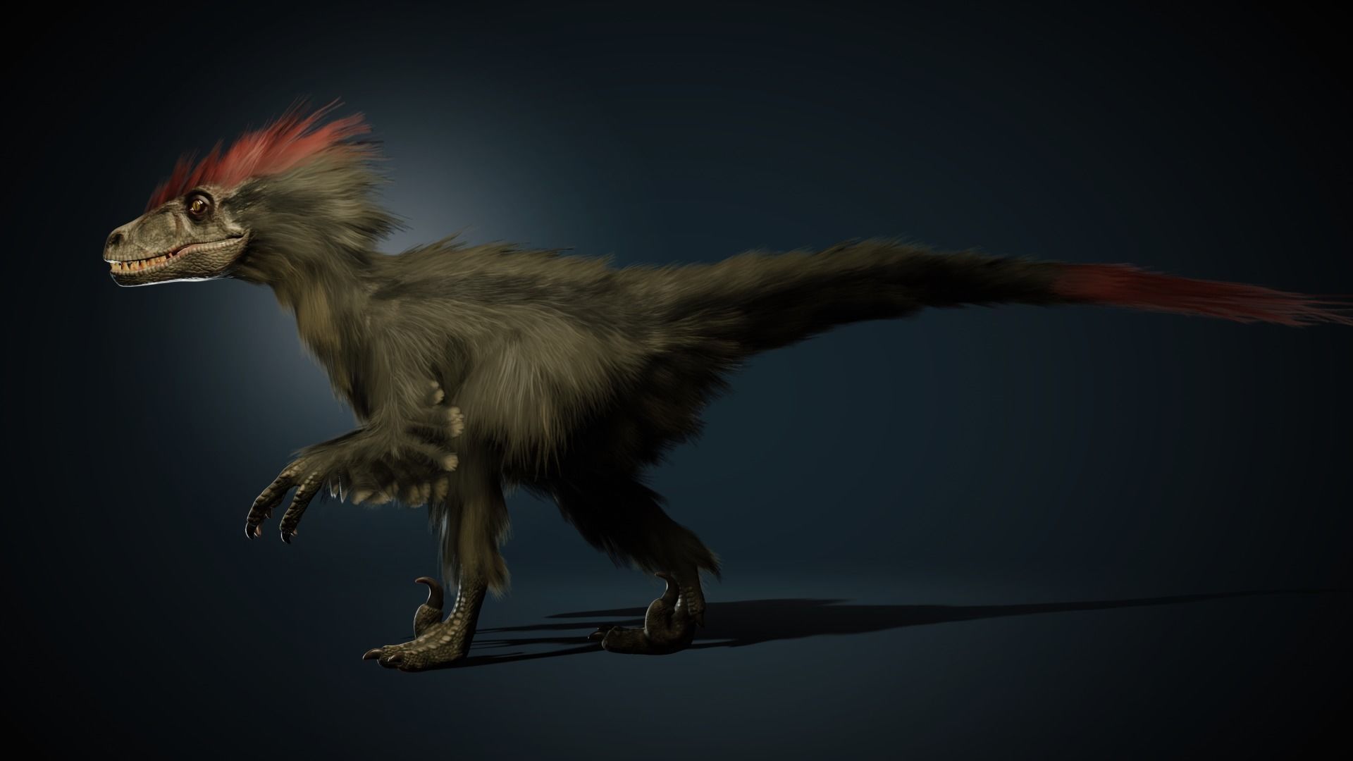 Raptor - Blender Low-poly 3D model_8