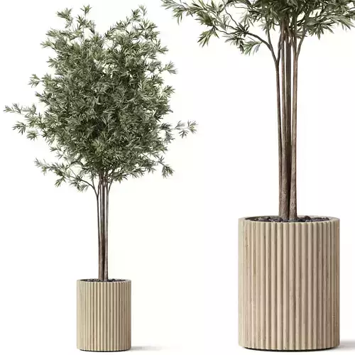 Plants collection 878