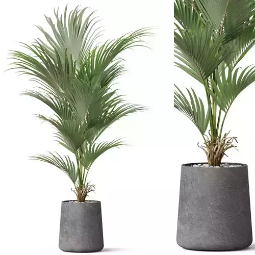 Plants collection 880