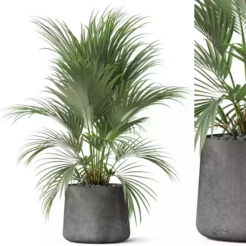 Plants collection 881