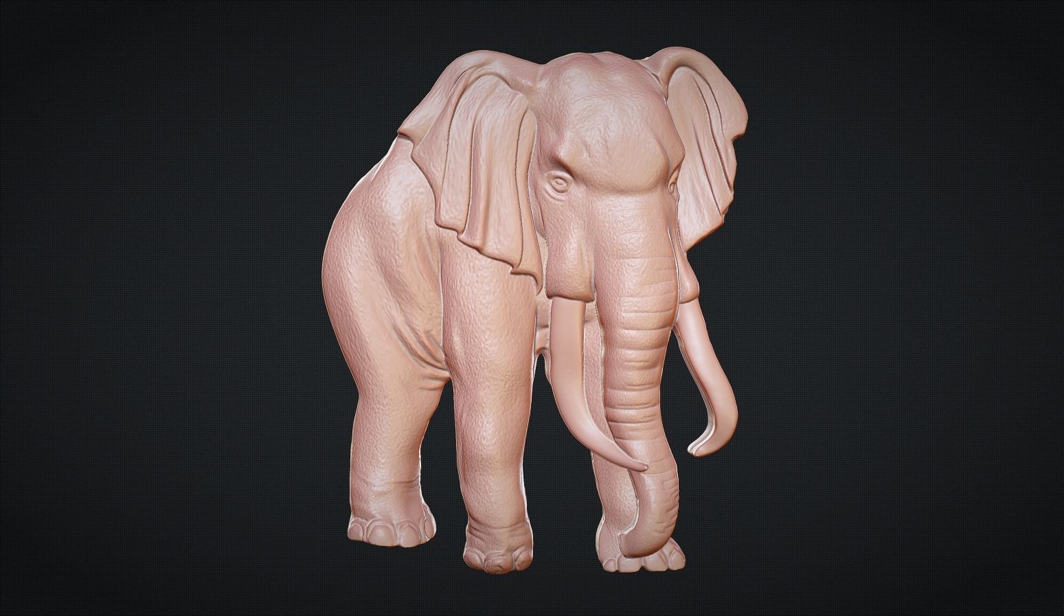 Elephant Bas Relief 3D print model_7