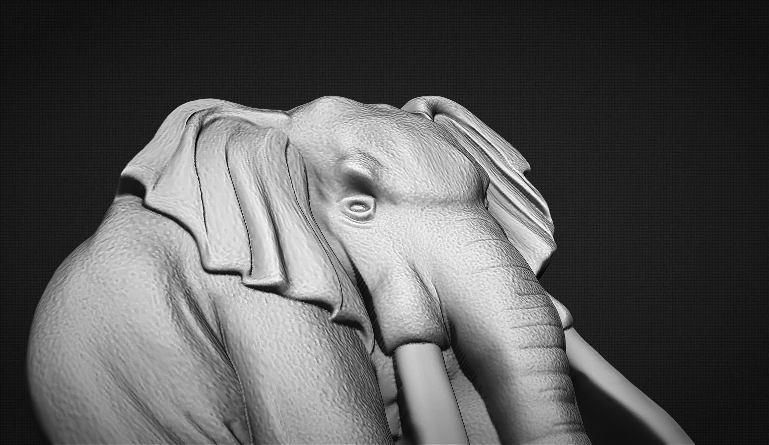 Elephant Bas Relief 3D print model_5