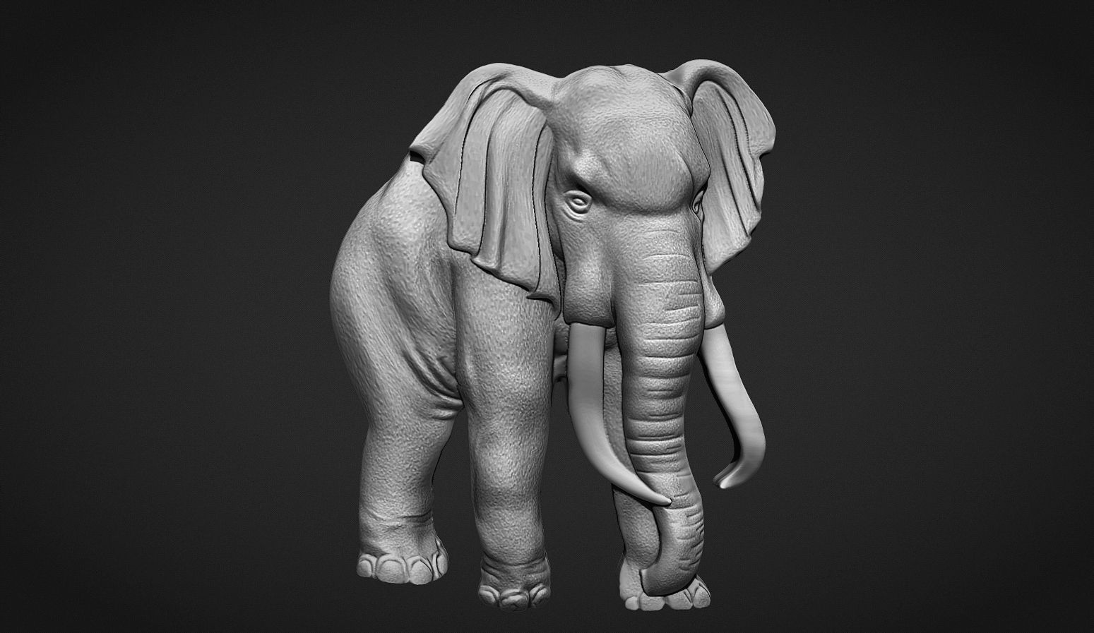 Elephant Bas Relief 3D print model_4