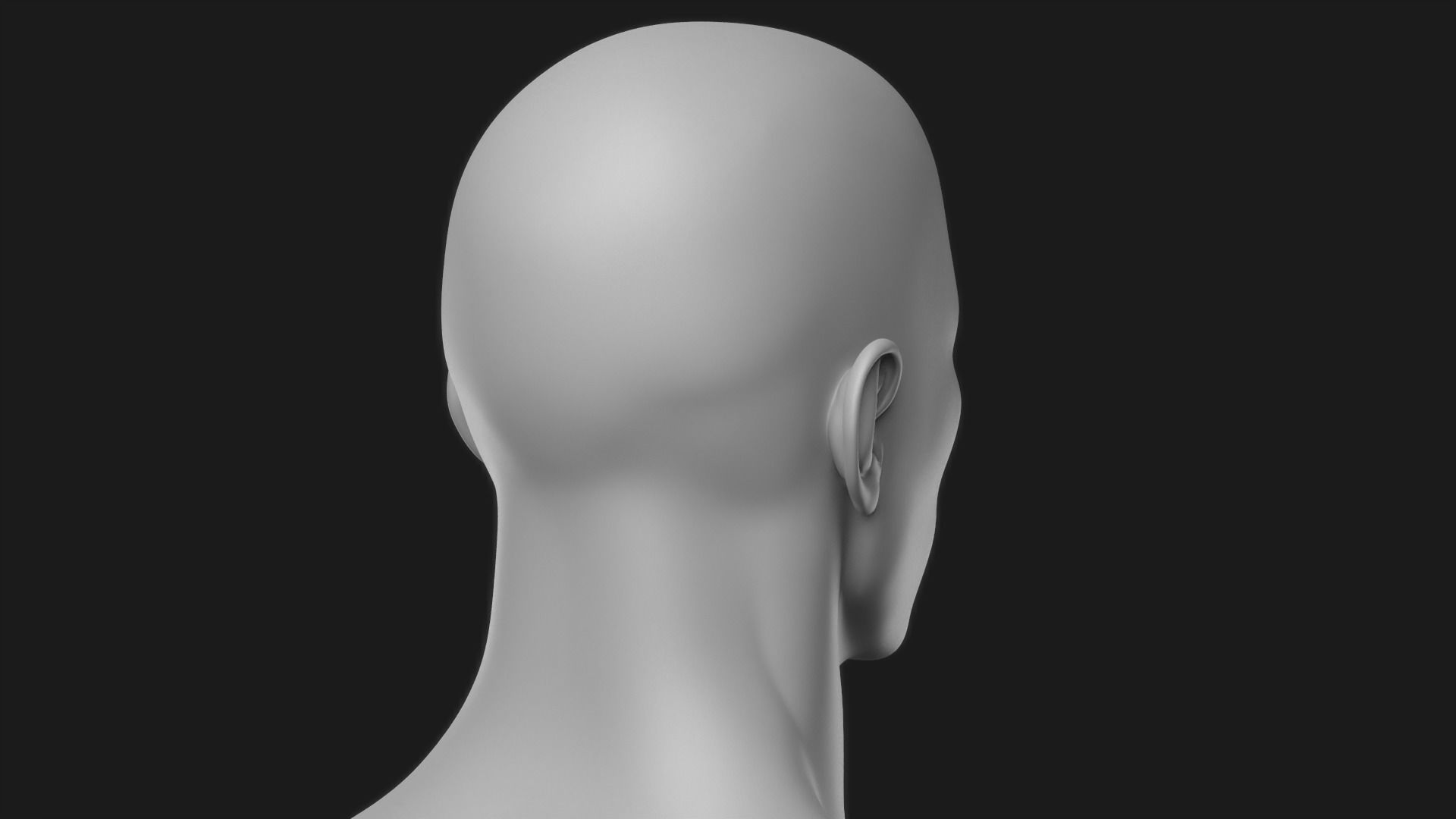 Realistic Man Body Basemesh 3D model_15