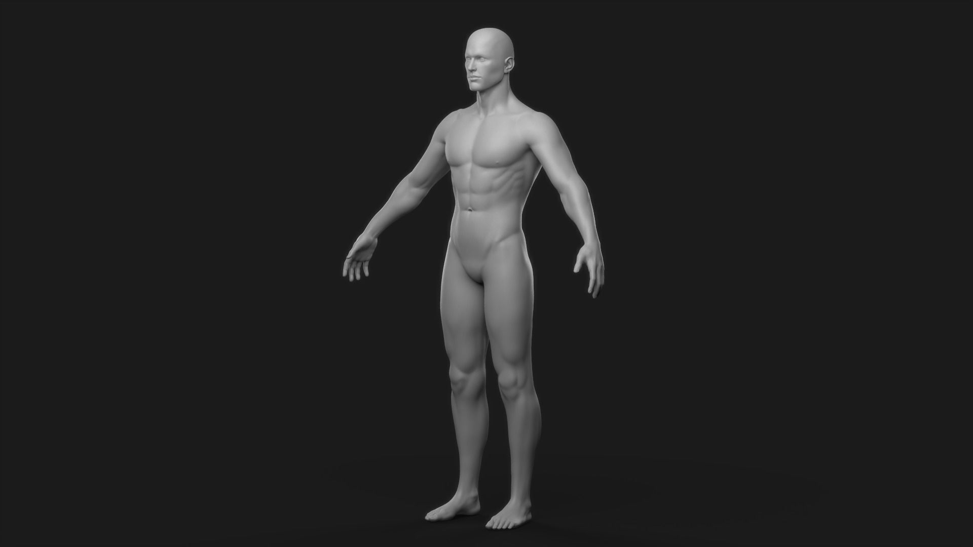 Realistic Man Body Basemesh 3D model_3