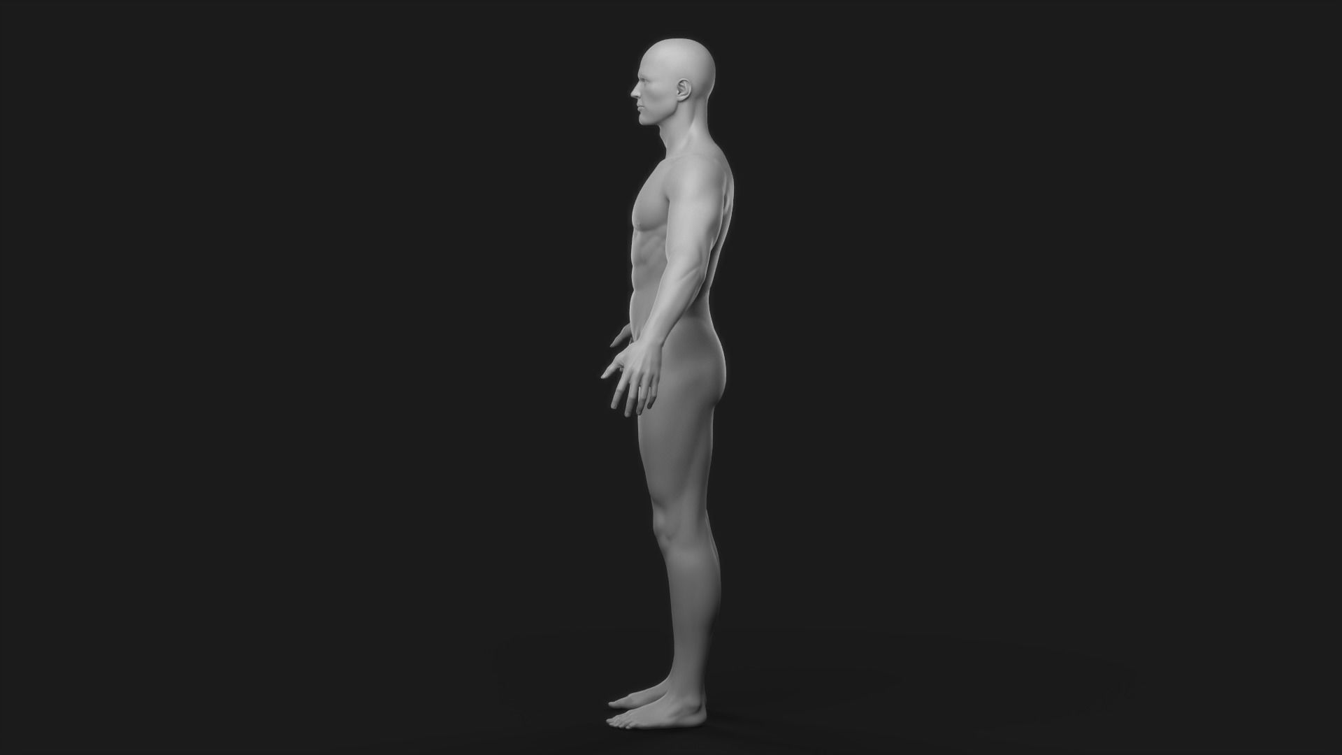 Realistic Man Body Basemesh 3D model_2
