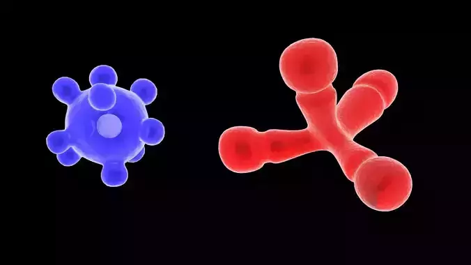 protist organism  virus microscopic anatomy medicine 3D model