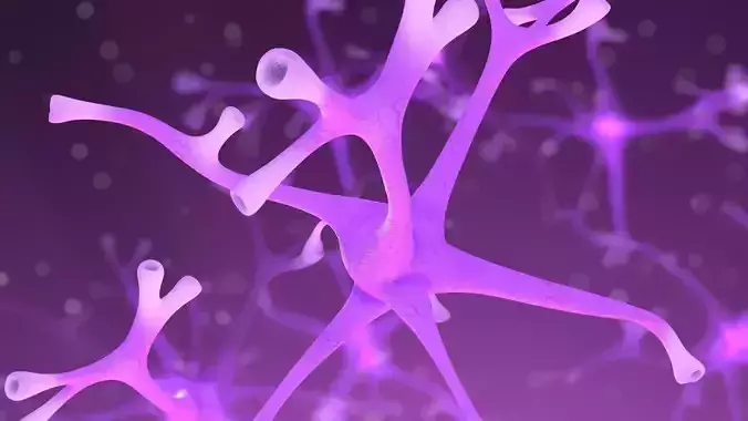 Nerve Cell Low-poly 3D model