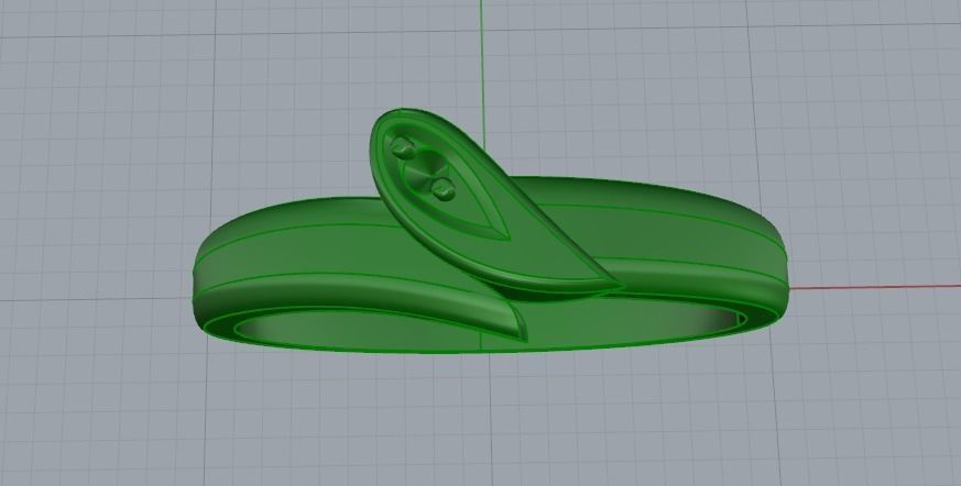 Ring Model 2739 3D print model_2