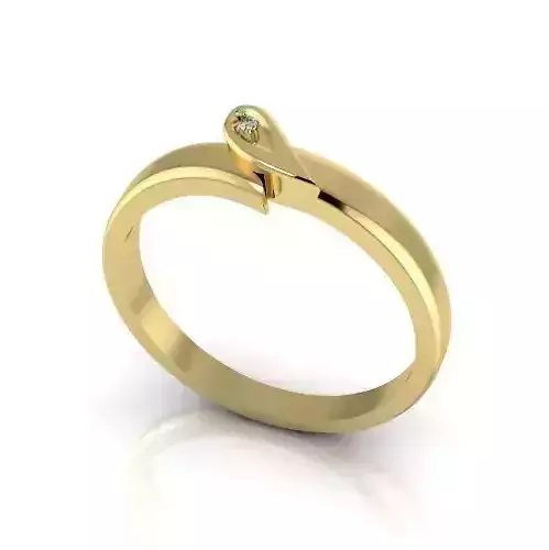 Ring Model 2739