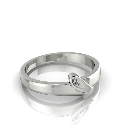 Ring Model 2739 3D print model_1