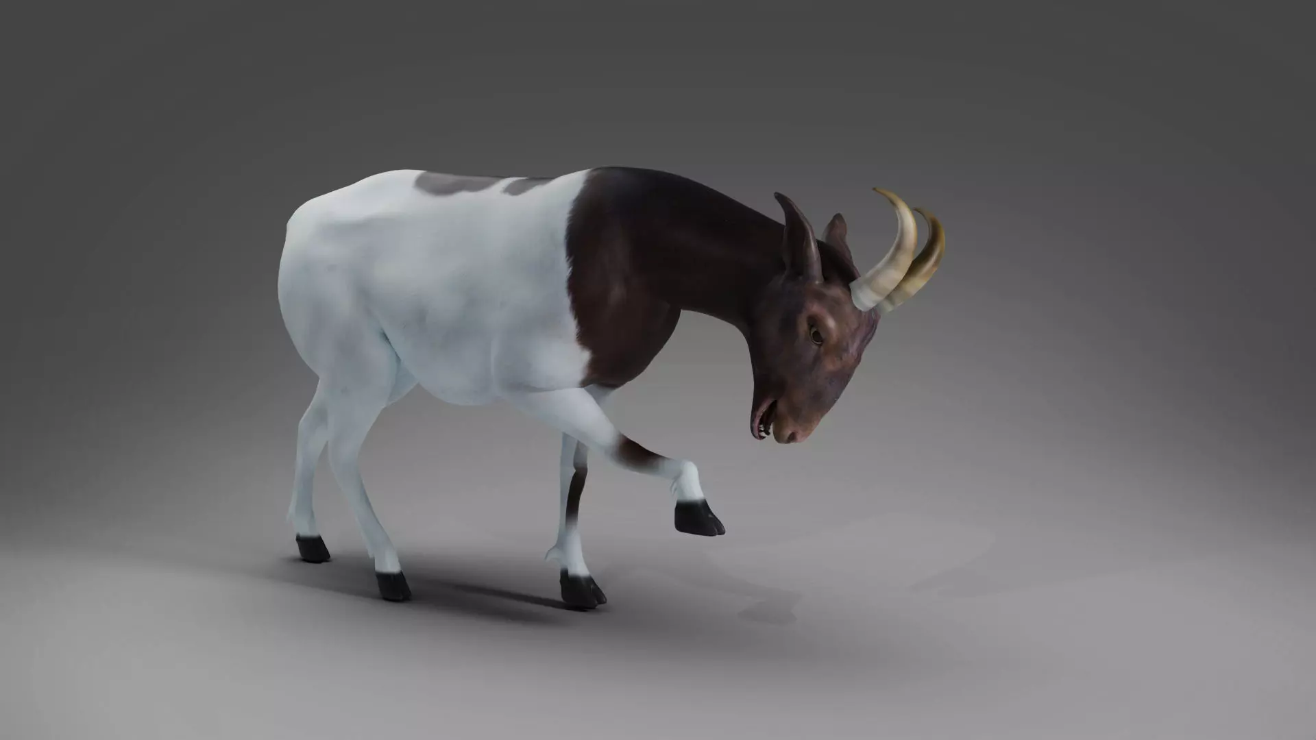 Goat 03 Rigged and Animation Low-poly 3D model_0
