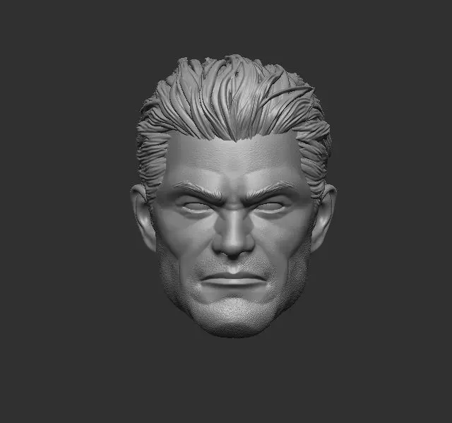 Frank Castle - Headsculpt for Action Figures 3D print model_0
