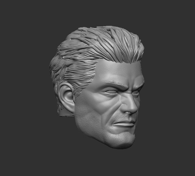Frank Castle - Headsculpt for Action Figures 3D print model_2