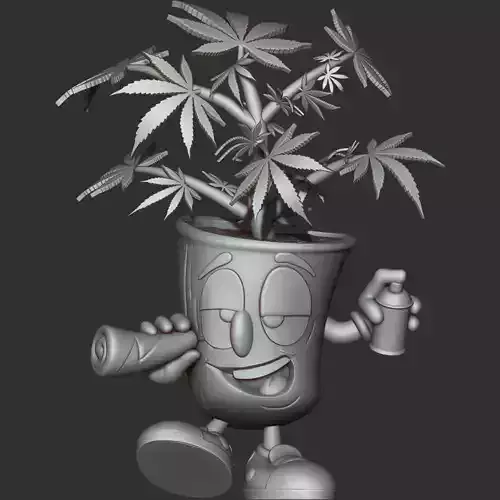 Marijuana plant in pot