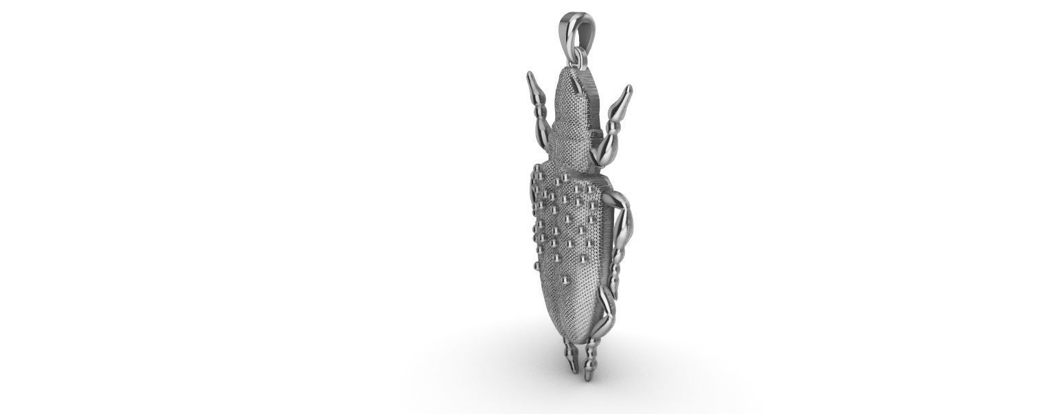 Scarab Pendant 3D print model_10