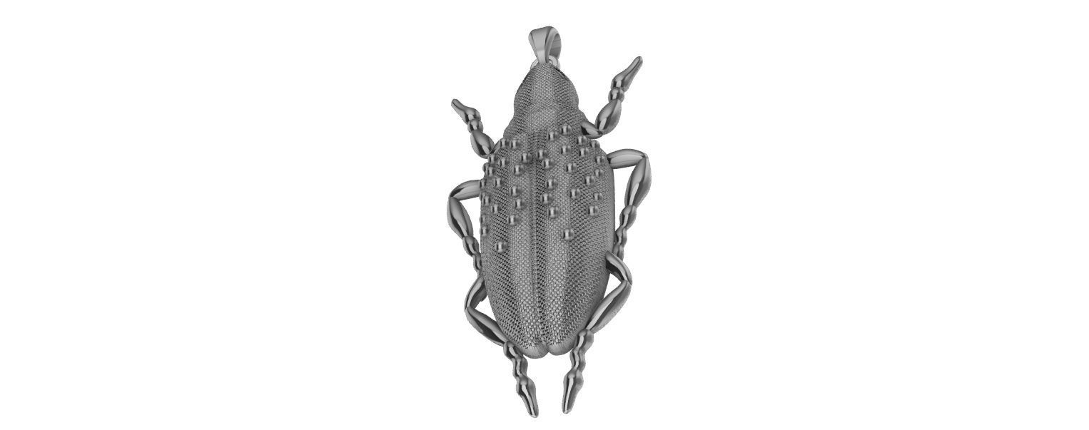 Scarab Pendant 3D print model_12