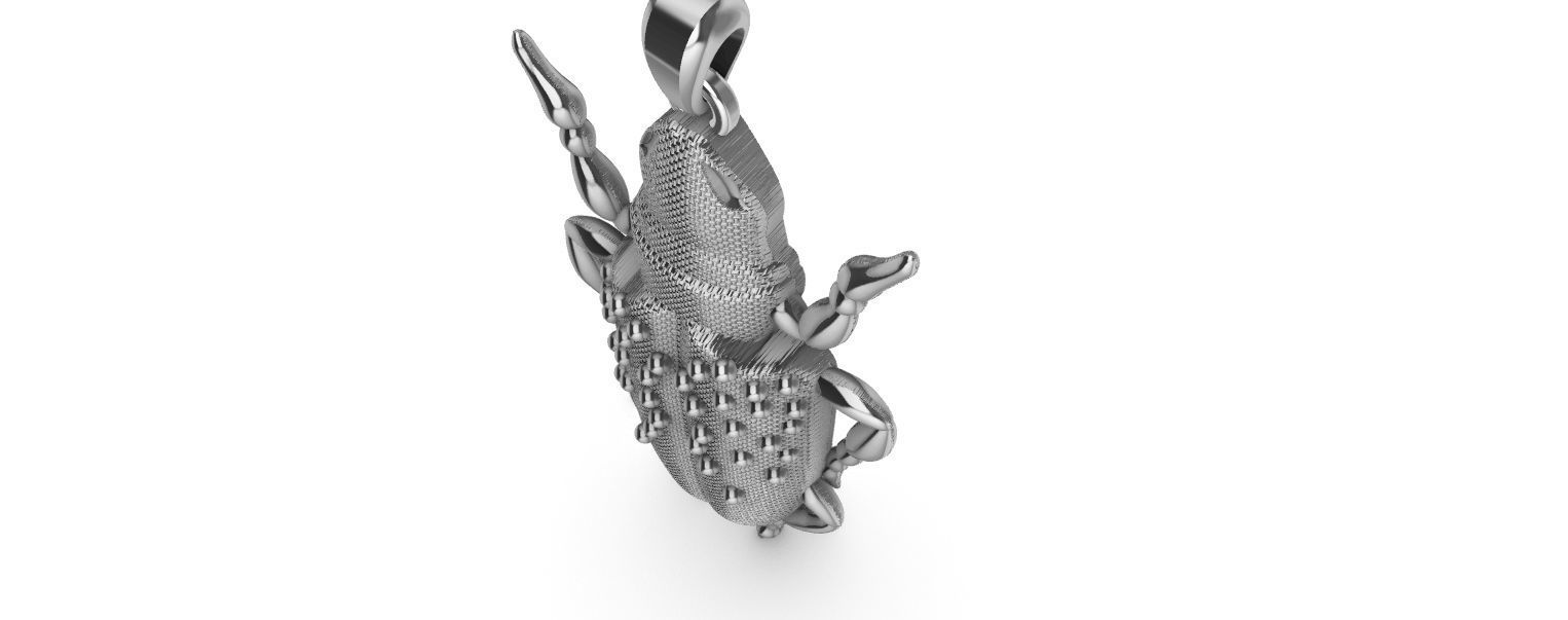 Scarab Pendant 3D print model_15