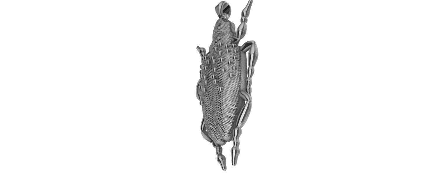Scarab Pendant 3D print model_18