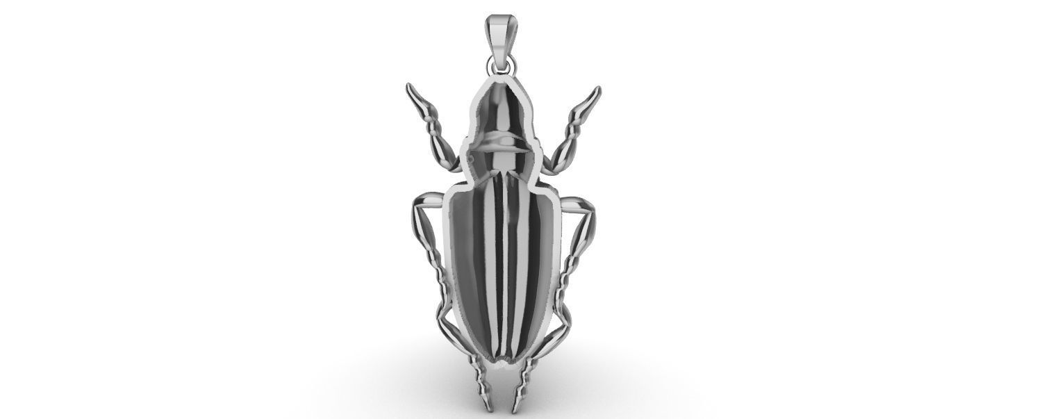 Scarab Pendant 3D print model_7