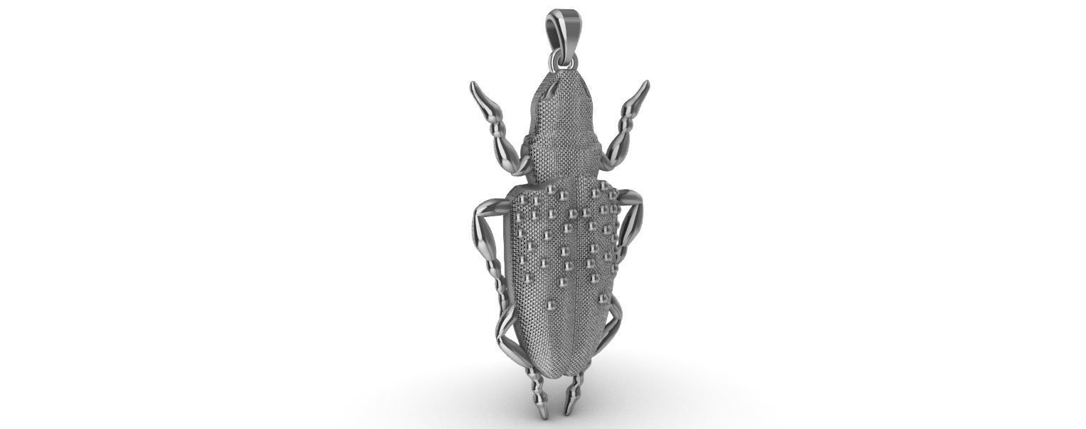 Scarab Pendant 3D print model_2