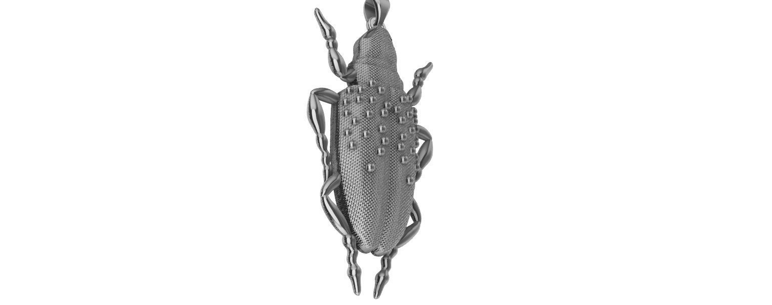 Scarab Pendant 3D print model_13