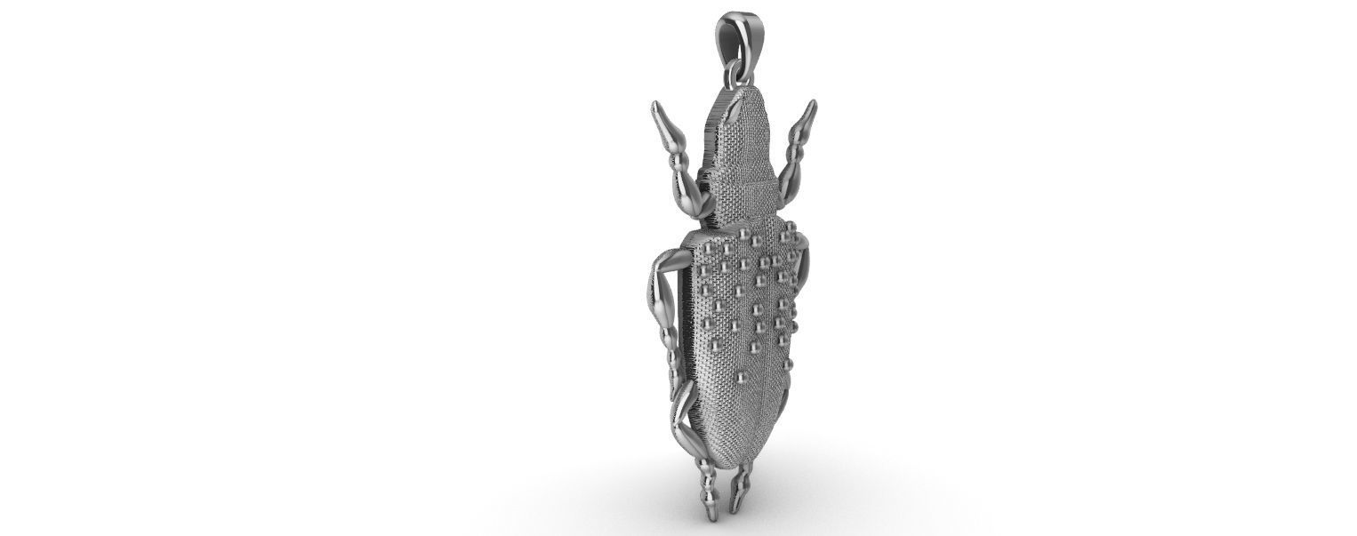Scarab Pendant 3D print model_3