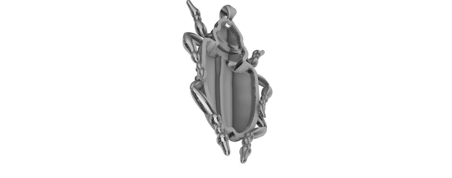 Scarab Pendant 3D print model_20