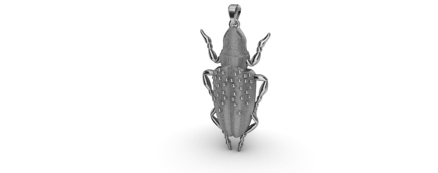 Scarab Pendant 3D print model_11