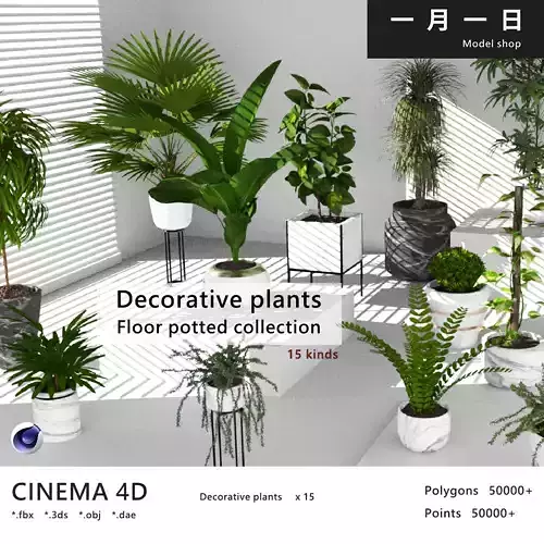 Floor potted collection