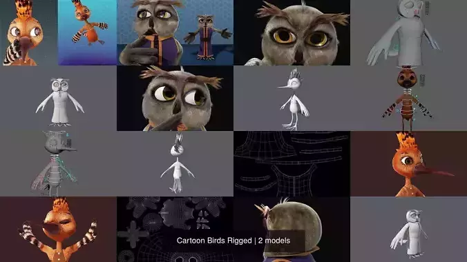 Cartoon Birds Rigged
