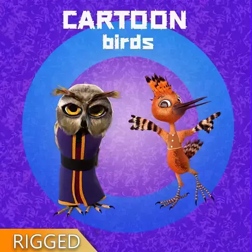 Cartoon Birds Rigged 3D Model Collection
