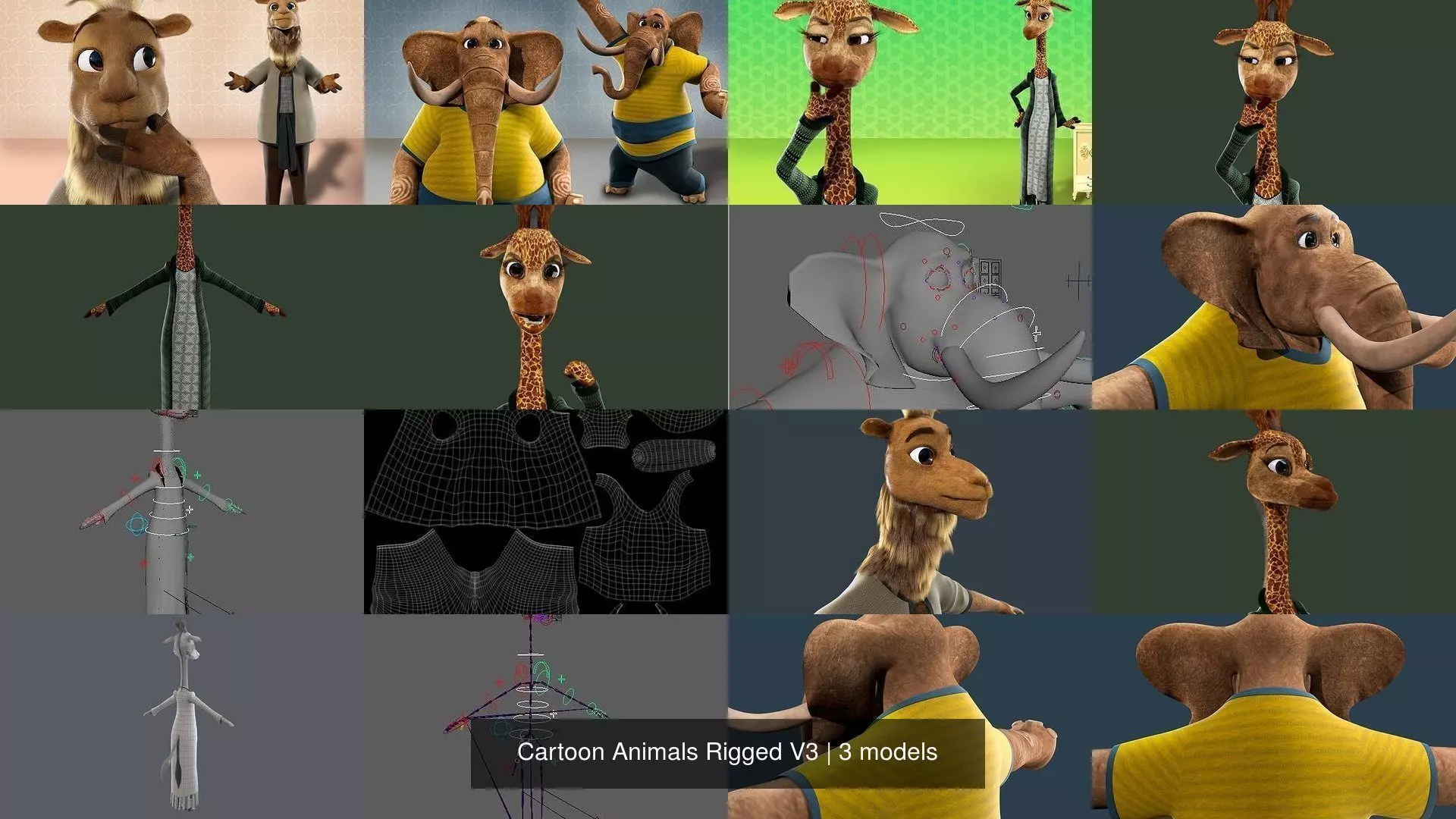 Cartoon Animals Rigged V3 3D Model Collection_1