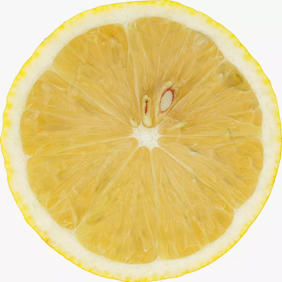 Lemon and half a lemon Low-poly 3D model_2