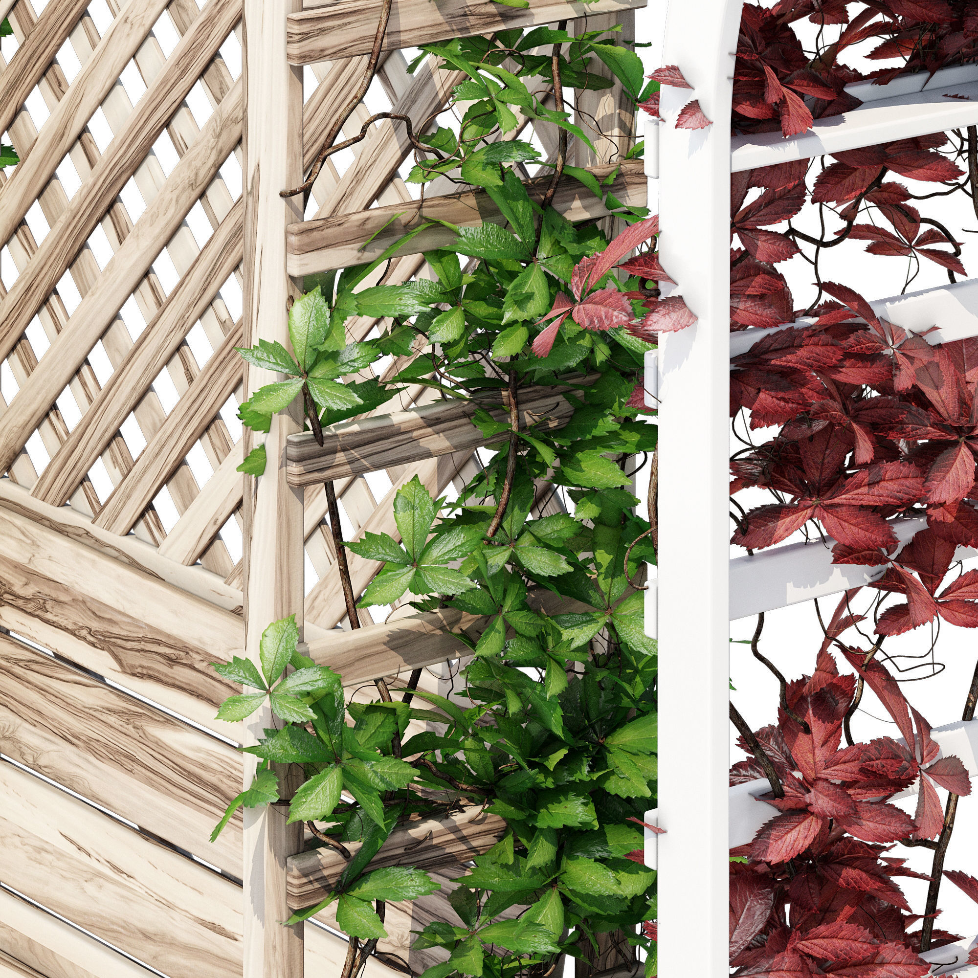 Arbor one 3D model_11