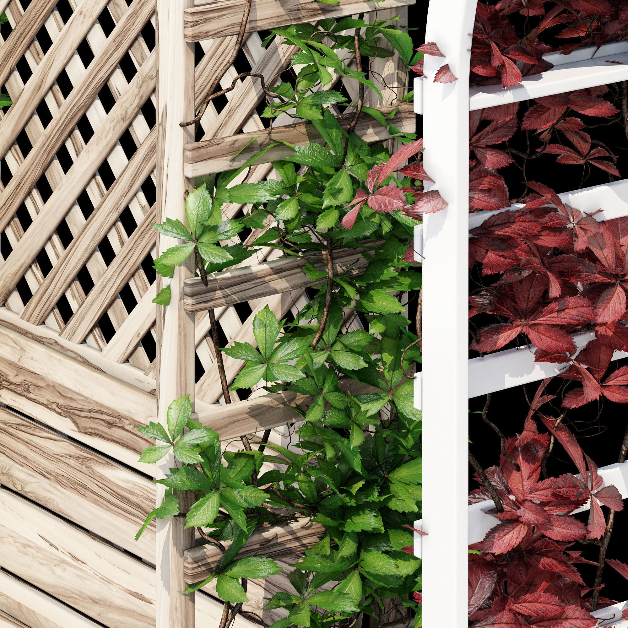 Arbor one 3D model_9