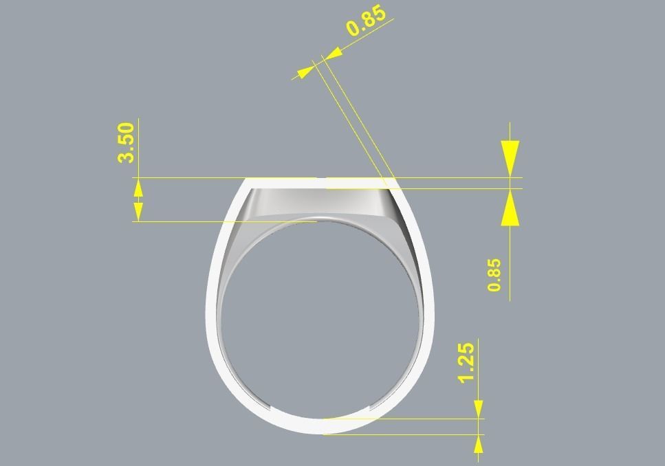 SIGNET YUZUKLER - 28 ADET TOPLU 3D print model_20