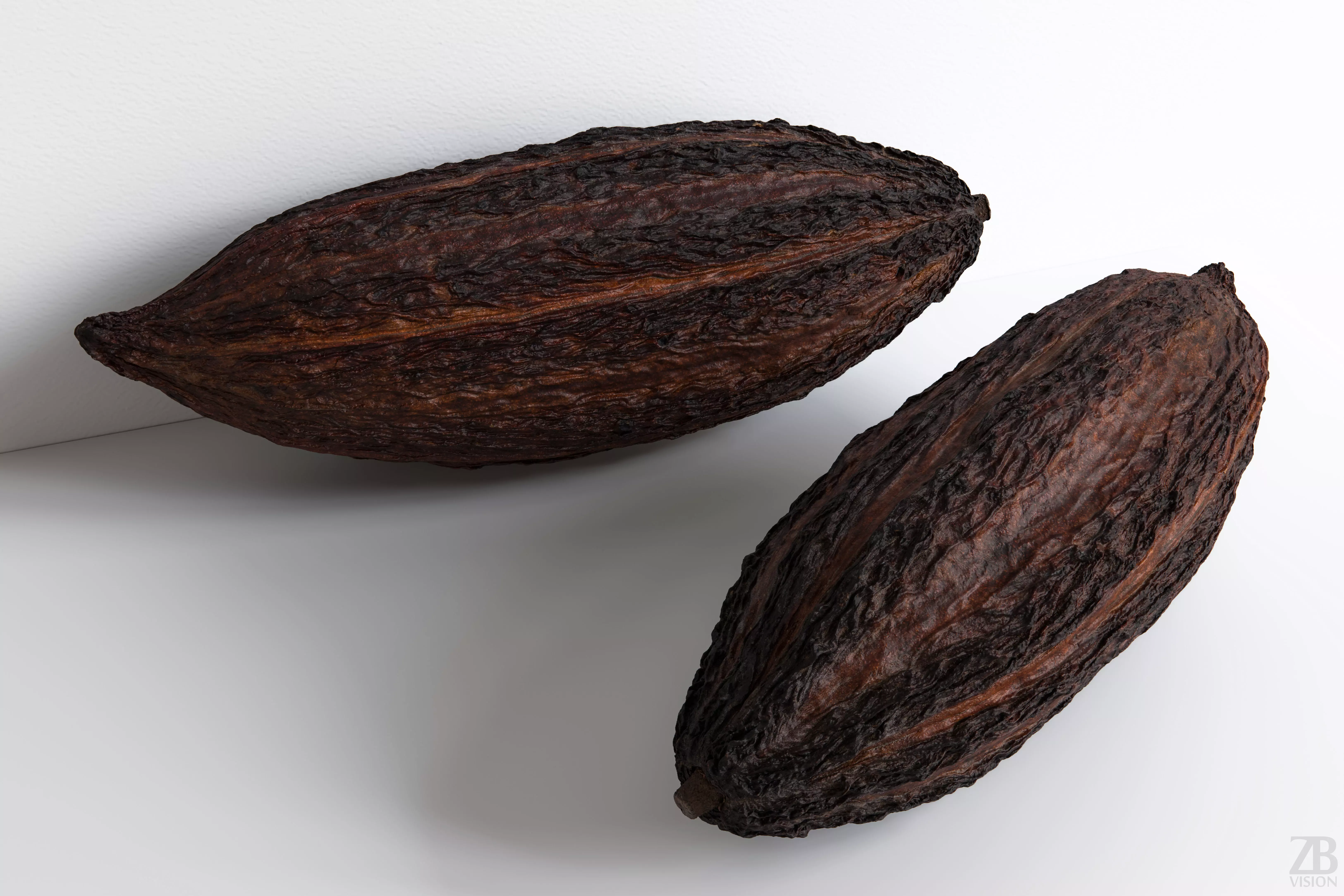 Cocoa Pod 3D model